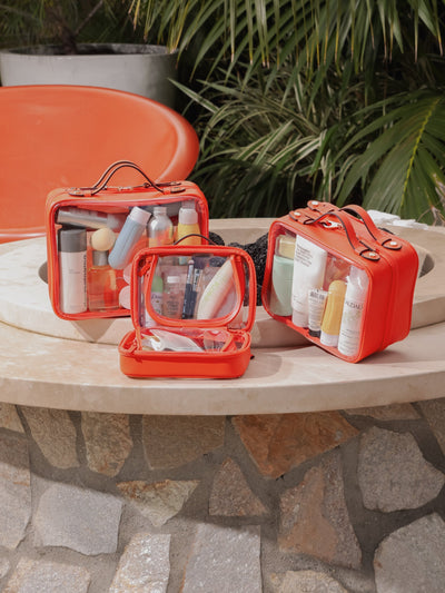 Small Clear Cosmetics Case