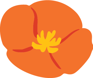 Orange flower with a yellow center on a white background