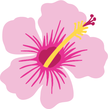 Pink flower with a yellow center on a white background
