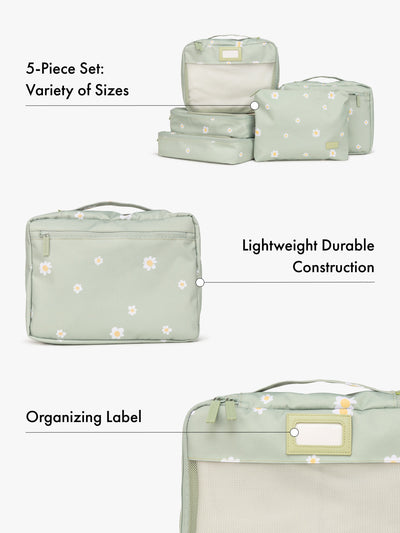 Packing Cubes Set (5 Pieces)